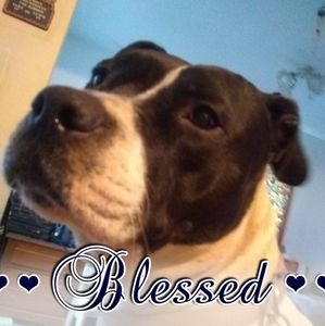 Meet your Posher, Margie